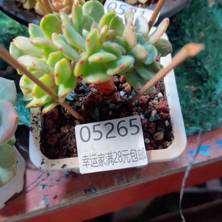 彩***1幸运的是你还没遇到你