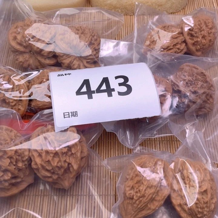 文玩核桃把件443号6对