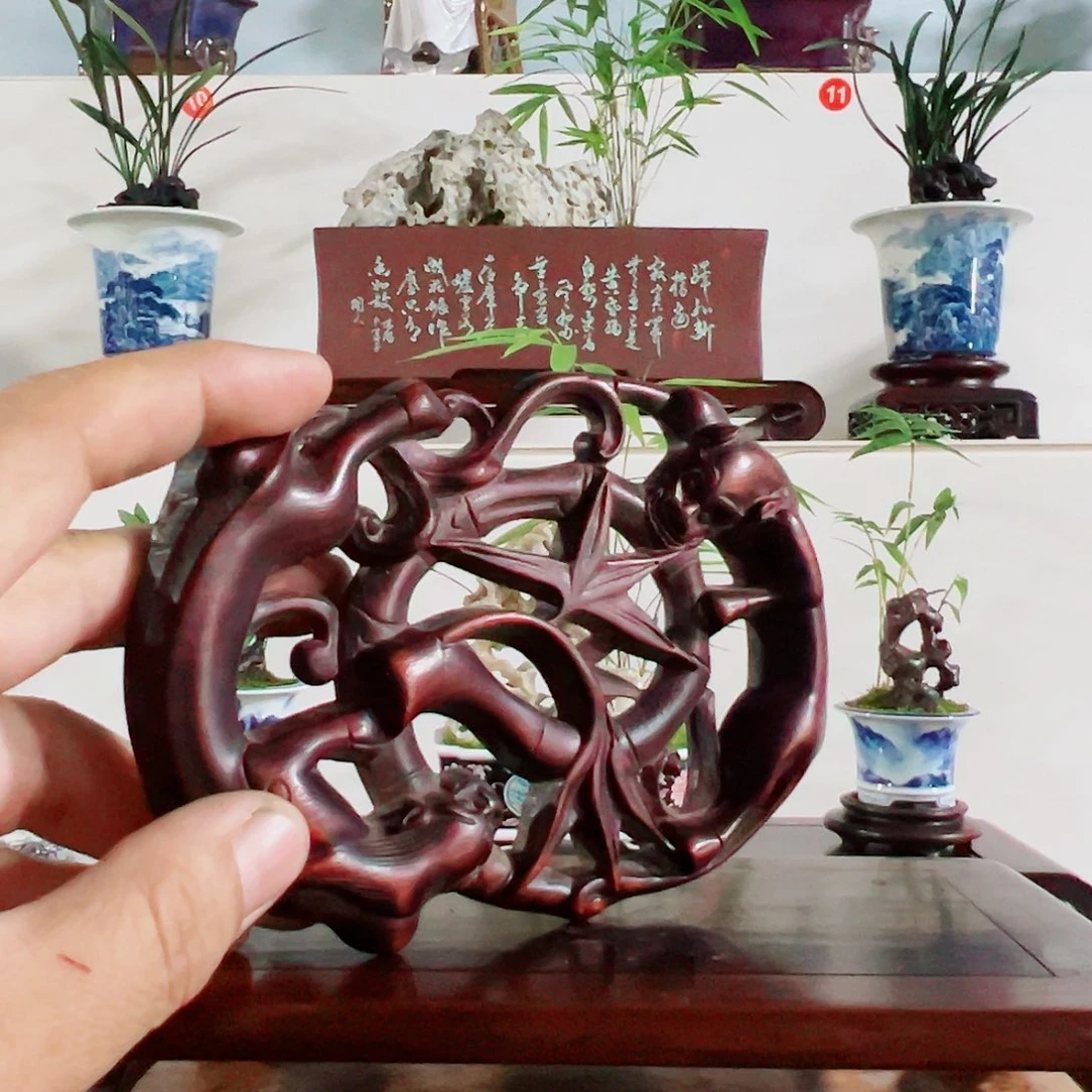 无花朵盆景，凤尾竹，玉玲珑