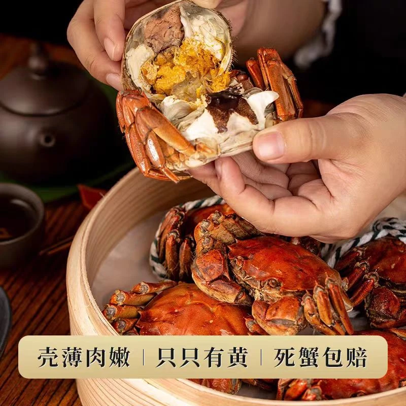 【活蟹】江苏河蟹母蟹带黄带膏单只0.8两-1.1两20只 鲜活发货