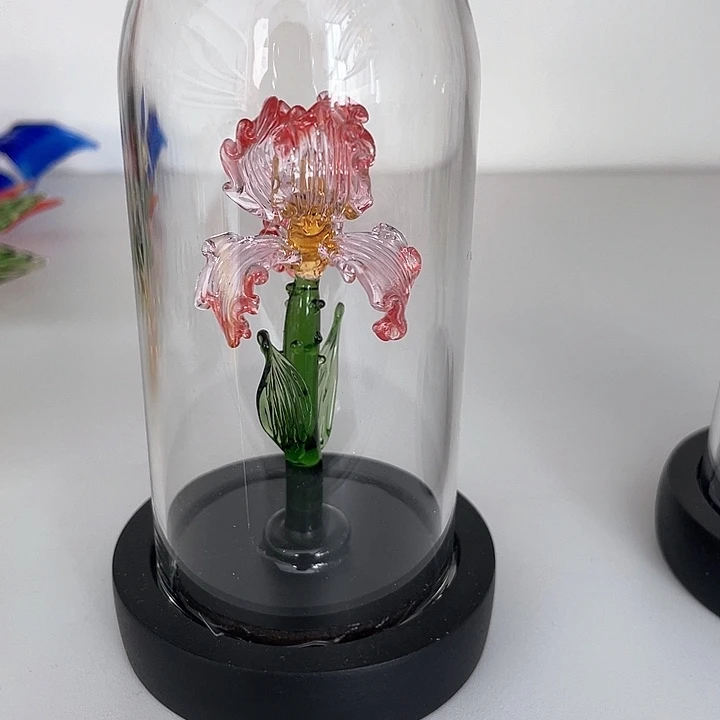 茶宠我也不知道我为什么会这么