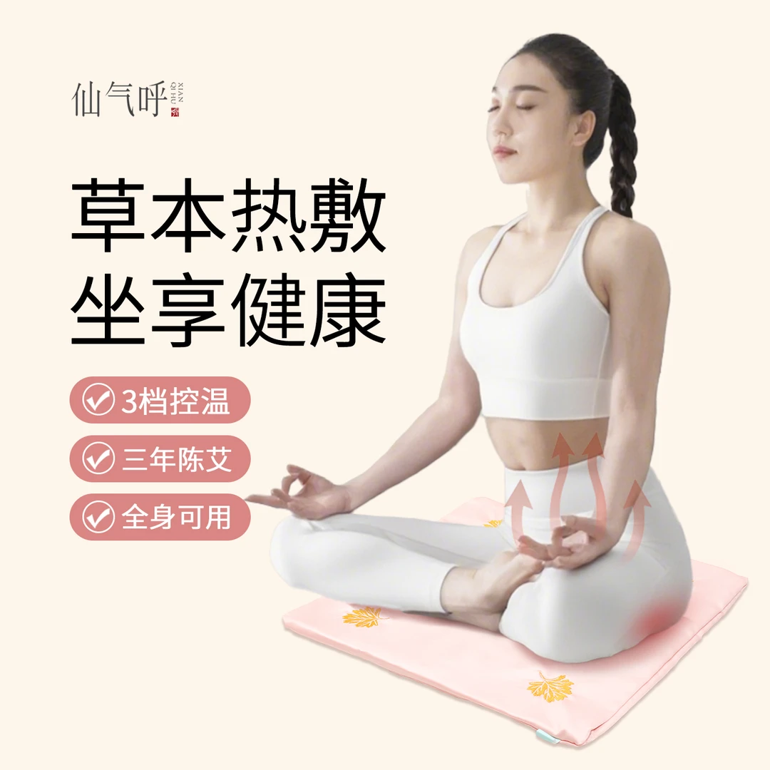 仙气呼 三年陈艾桃花加热坐垫久坐护腰四季一垫多用