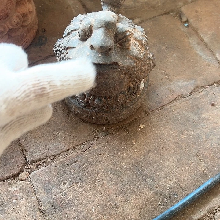 花梨木类88888888888