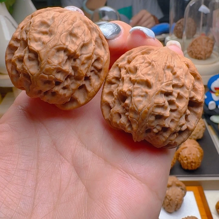 核桃把件39全品野狼