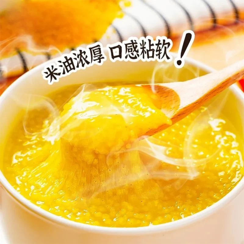 2025年沂蒙山地春谷小米煮粥米油厚5斤手提袋