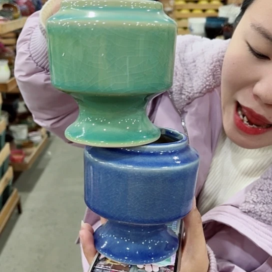 红陶花盆里还有几棵树上