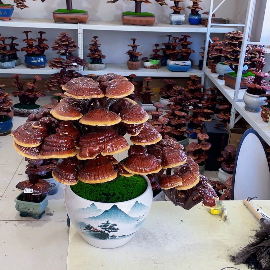 全部花朵420号88888888888888