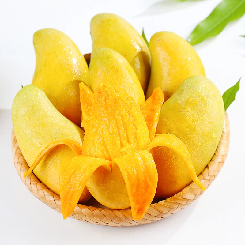娇娇1【放软再吃】海南金煌芒香甜多汁4.5/8斤装新鲜应季水果芒果