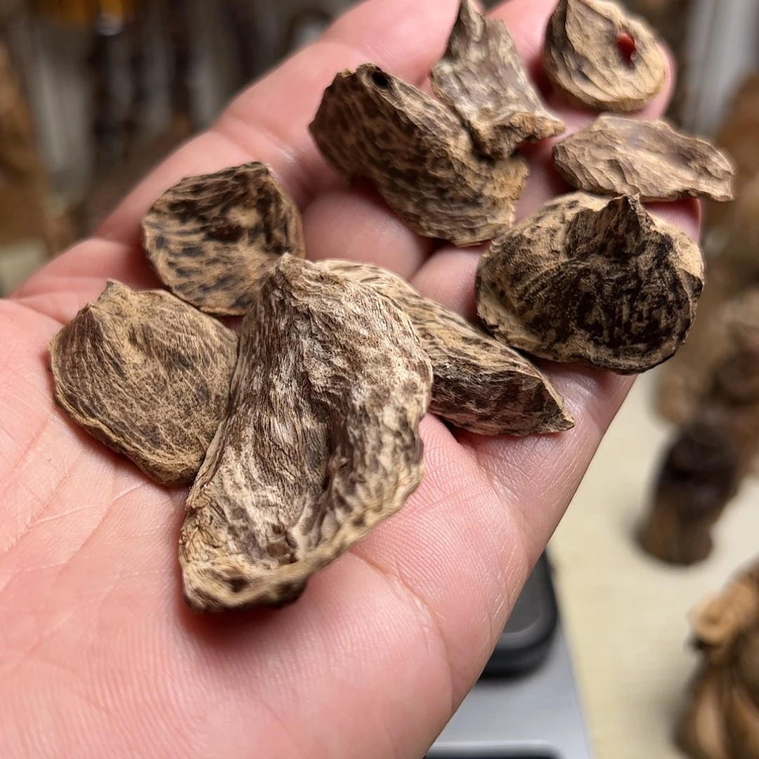 沉香碎屑沉香斯里兰卡沉水料7克