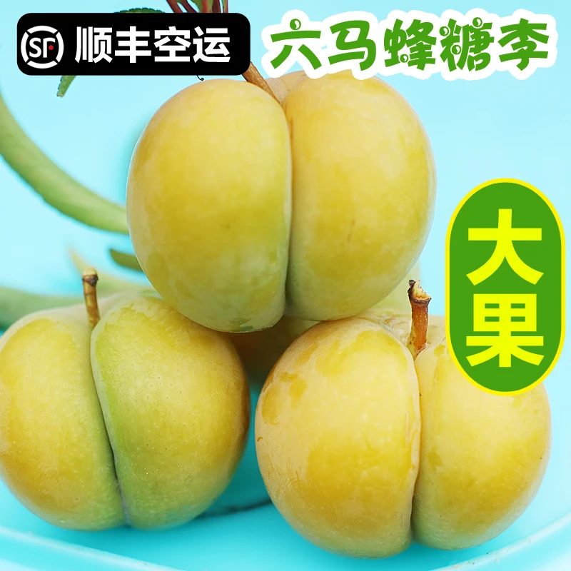 顺丰空运六马蜂糖李子水果新鲜孕妇冰糖李蜂蜜李贵州蜂糖李子水果