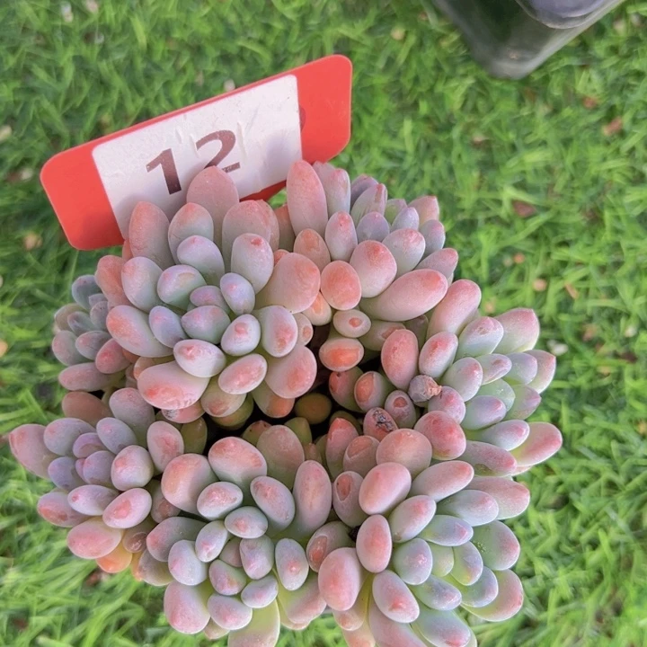 健健康康平平安安