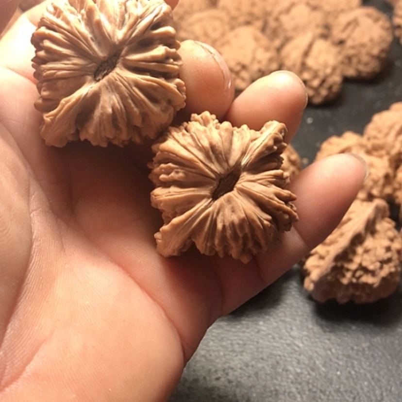 【闪购商品】摄***沅楼