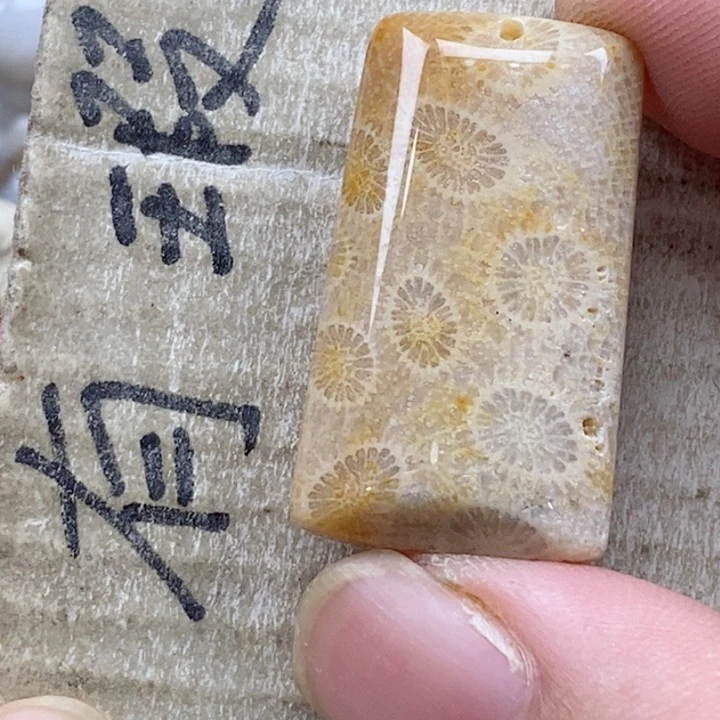 颈饰未镶嵌硅化珊瑚（珊瑚玉）王**儿小
