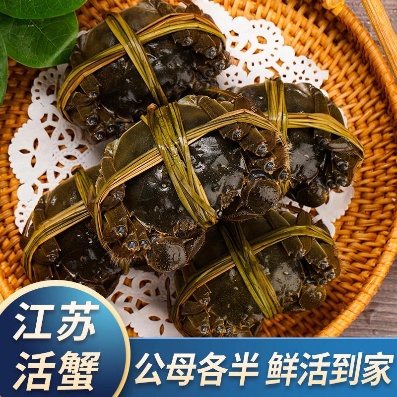 【活蟹】江苏大闸蟹公(5.0-4.7两)母(4.0-3.7两)6-10只 顺丰空运
