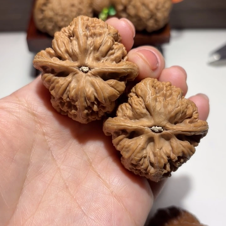 核桃40全品大粗筋