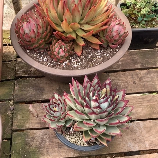 A**y每日特价活动开始啦