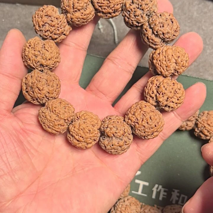 金刚菩提手串五星梅花大金刚手串，24左右，原皮原色