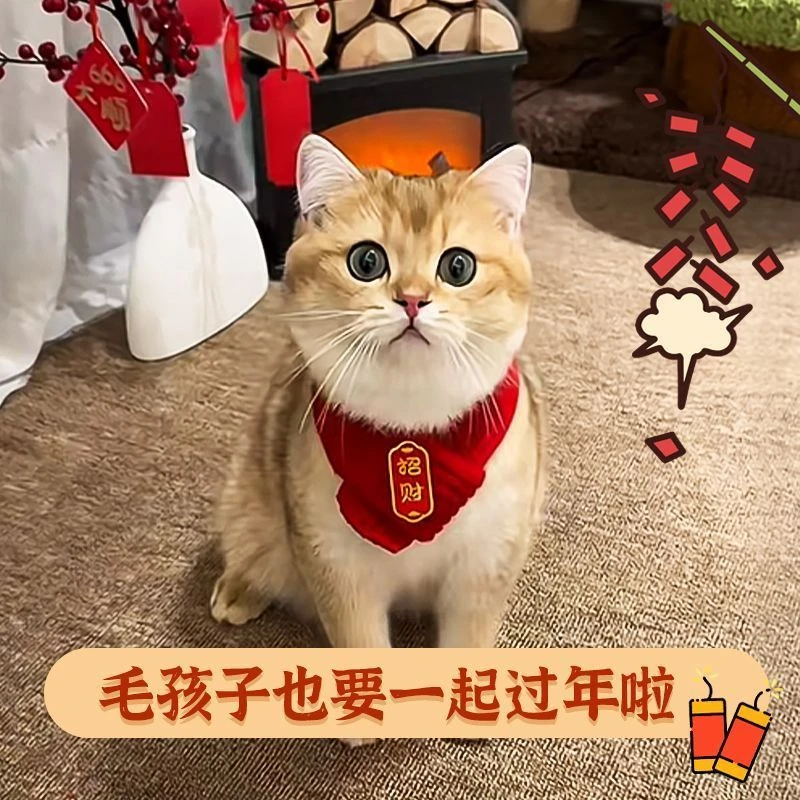 猫咪狗狗围脖新年宠物配饰装饰围巾红色可爱毛线保暖针织小狗喜庆