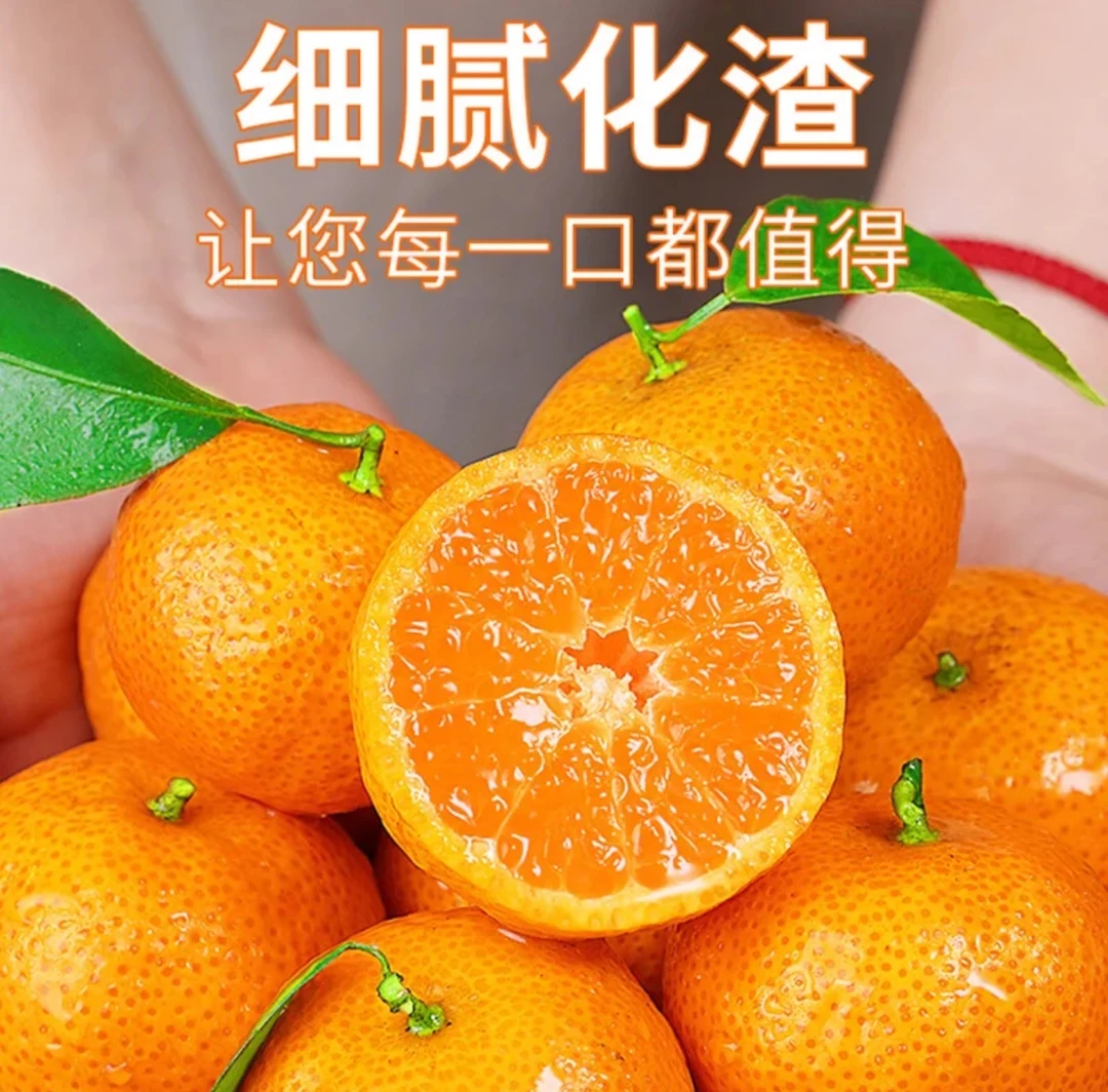 广西高山新鲜金秋沙糖桔5斤爆甜多汁应季水果无籽无渣（自家果园）