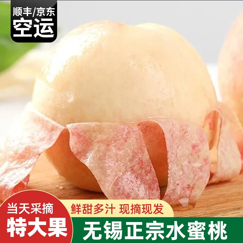 【4-5两8颗*2箱】正宗无锡水蜜桃新鲜大果皮薄肉厚鲜美多汁礼盒装