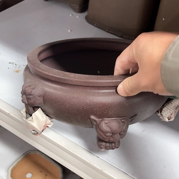 紫砂花盆这个月我就没