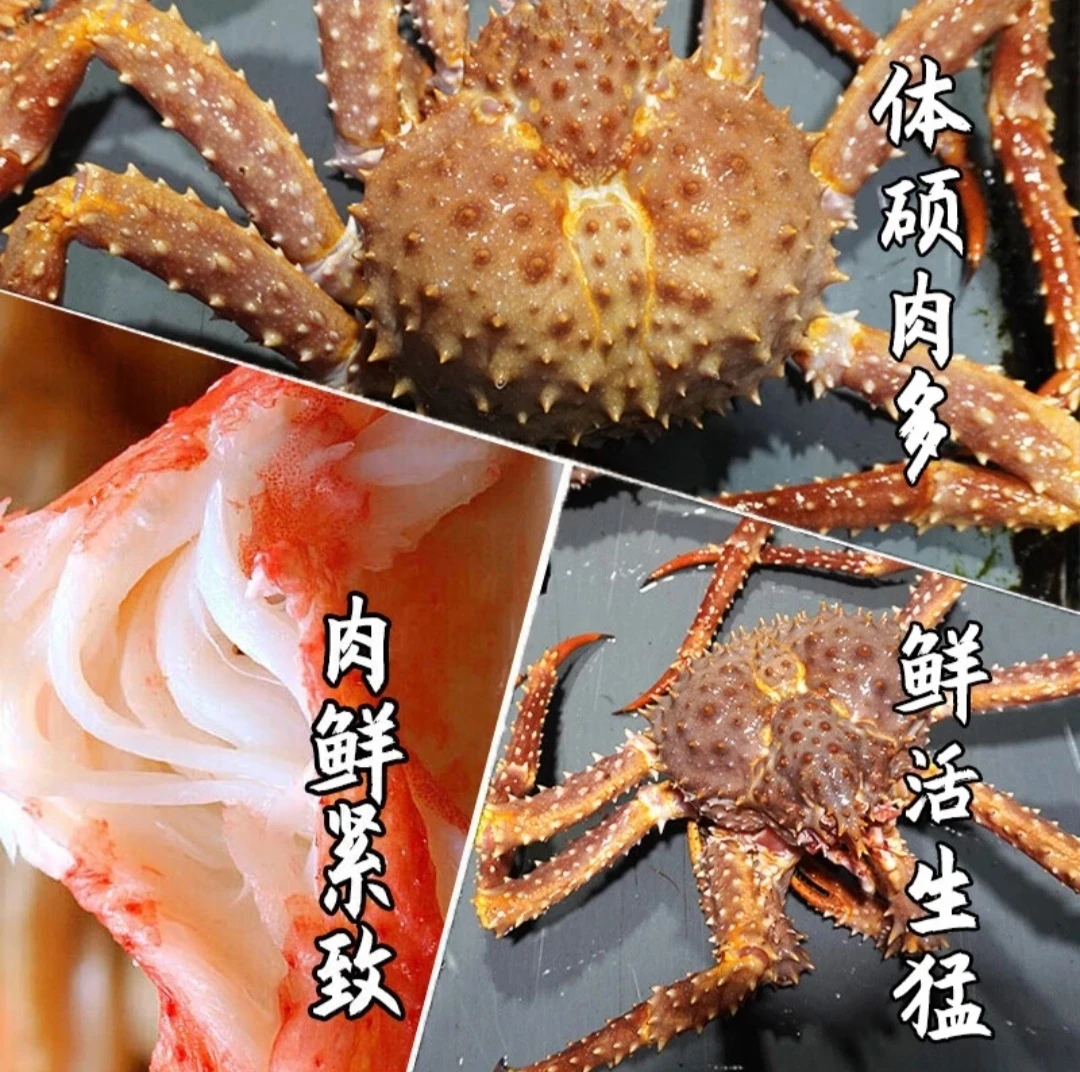 白令海棕帝王蟹 新鲜非冷冻 江浙沪皖压冰发货 外省液氮锁鲜