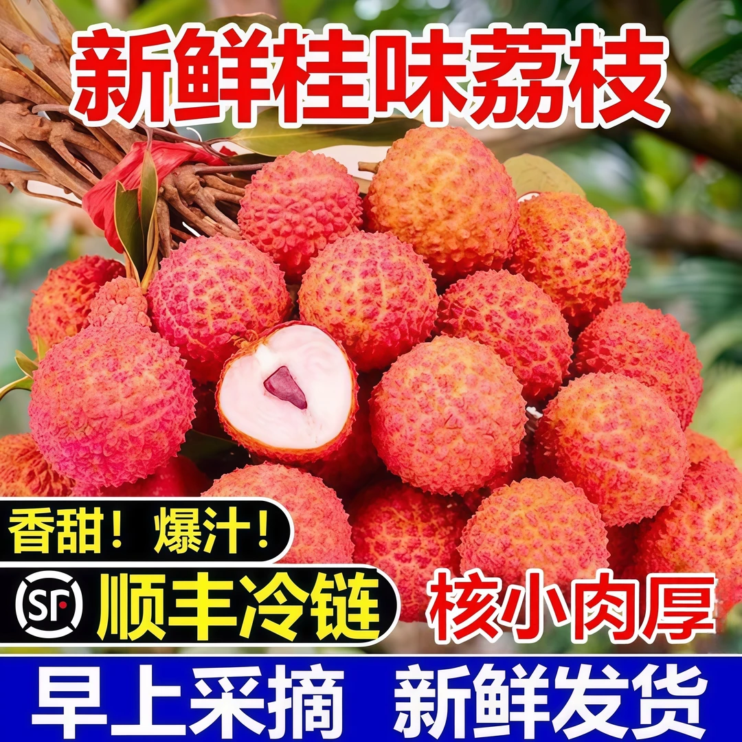 【顺丰冷链】正宗茂名高州老树桂味荔枝新鲜采摘桂味