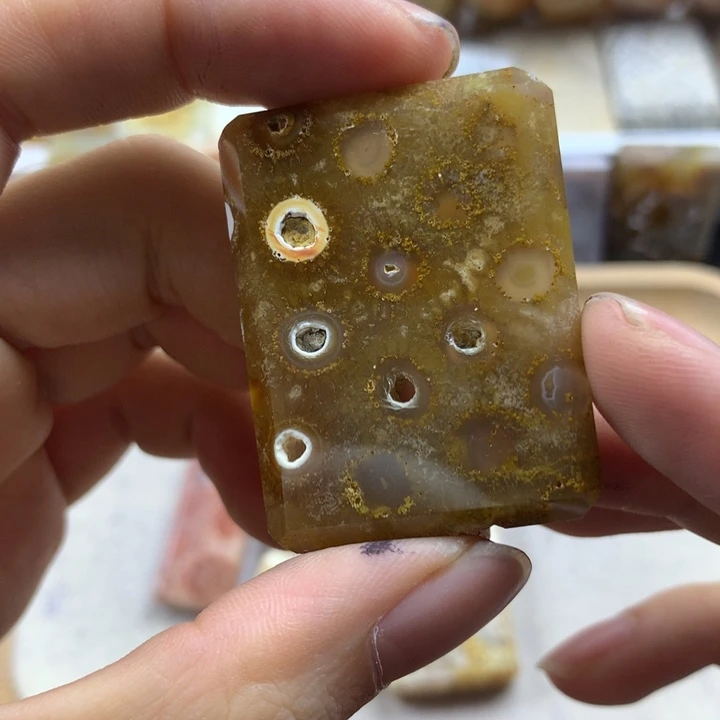 小***鸟硅化珊瑚（珊瑚玉）未镶嵌颈饰
