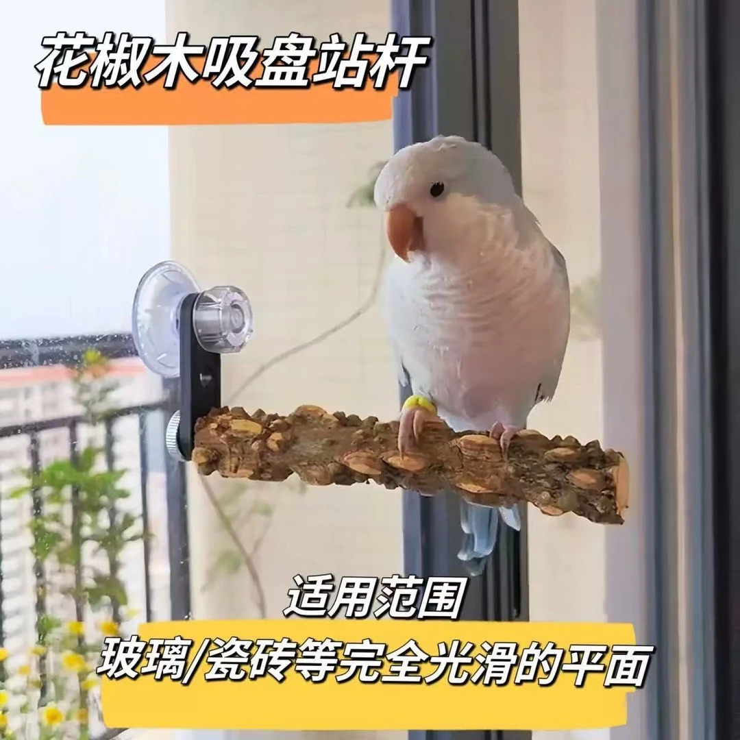 鹦鹉花椒木吸盘站杆站架站台虎皮玄凤专用磨爪磨嘴墙面玻璃站棍
