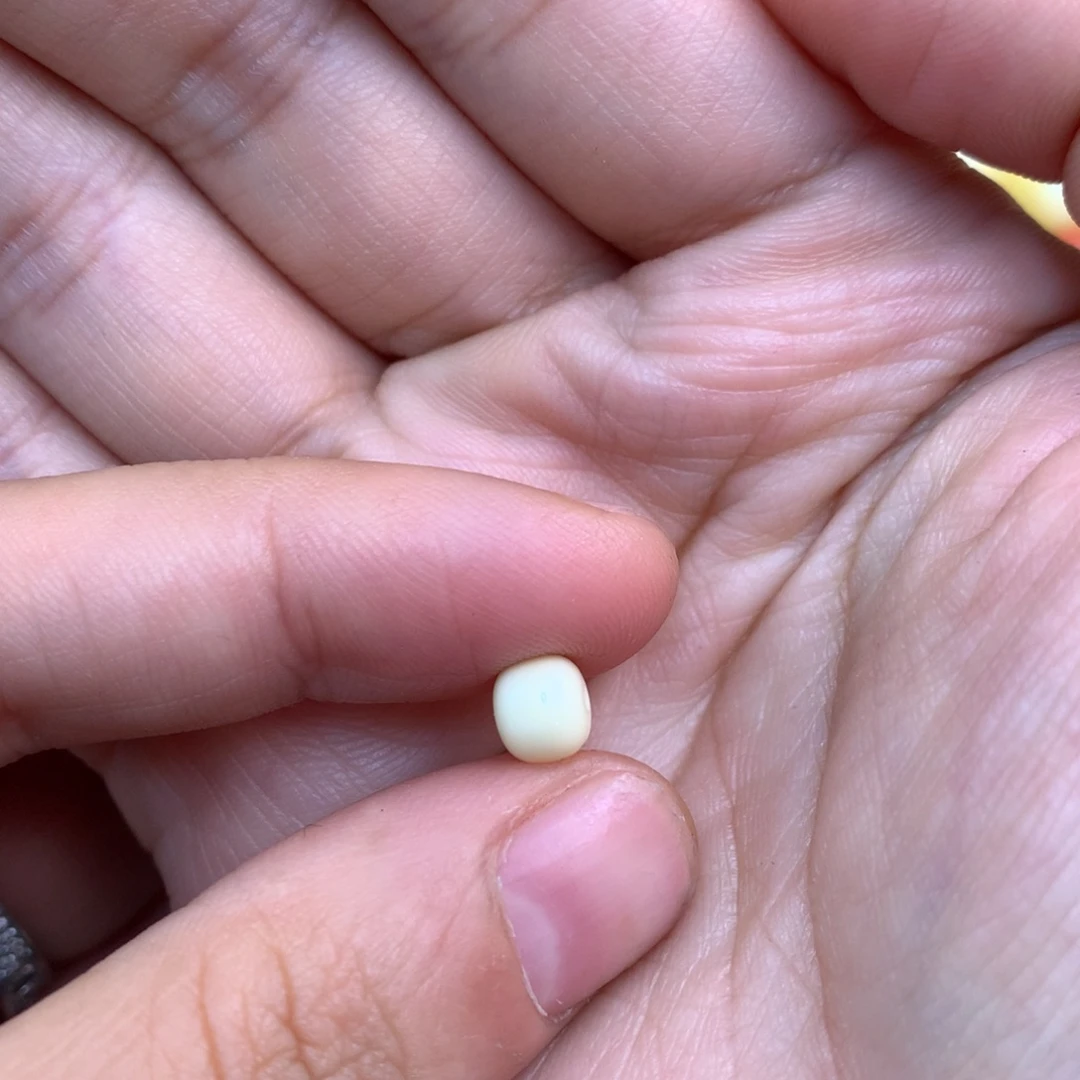 雲***琥珀未镶嵌裸石蜜蜡