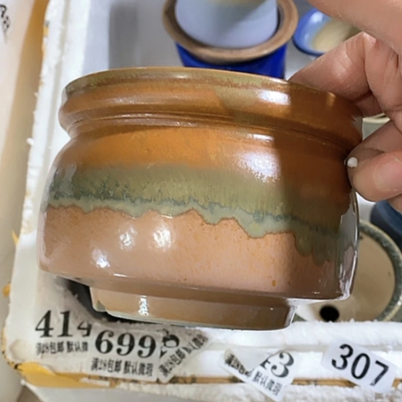 【闪购商品】红陶口12