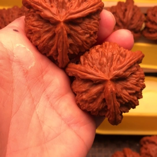 时***苒核桃核桃核桃核桃核桃