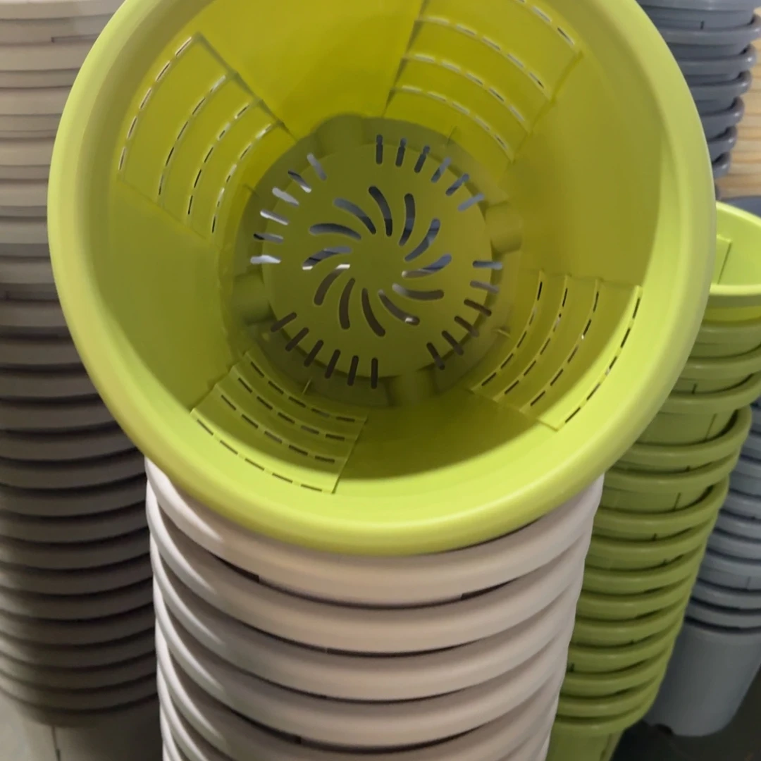 测6#口径33无拖果绿5个