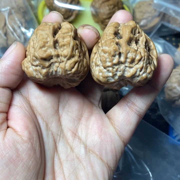 文玩核桃把件蛤蟆39