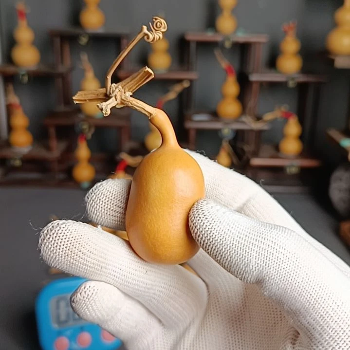 趴***兔葫芦葫芦葫芦葫芦葫芦葫芦