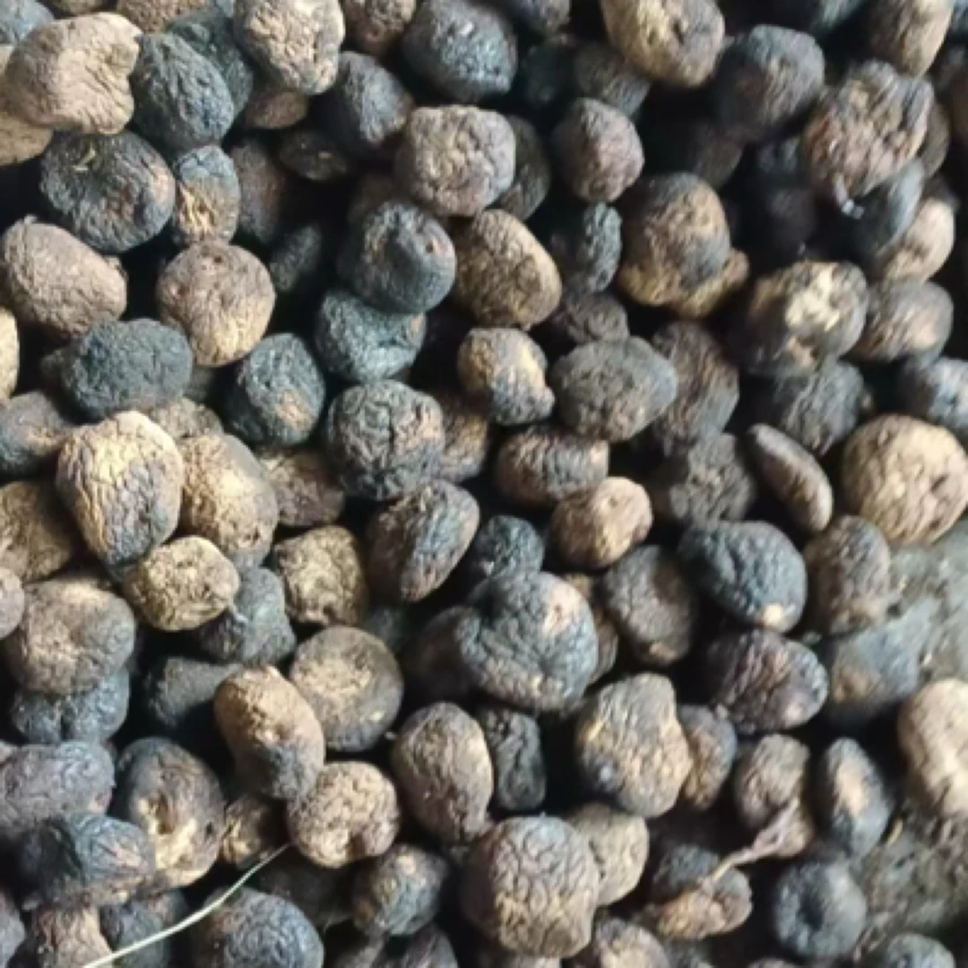 巧家干巴洋芋发芽洋芋老洋芋