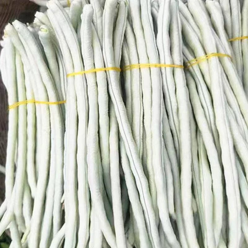 顺丰广西现摘白胖豆3斤5斤应季蔬菜