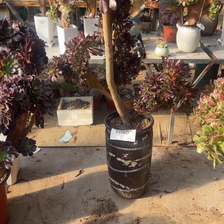 千***）1080，黑法师缀包邮