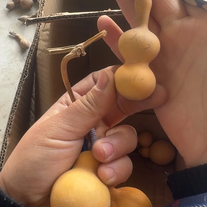 不***修不修不修不修葫芦