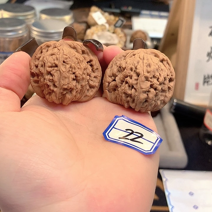 木质类白狮子42尺寸