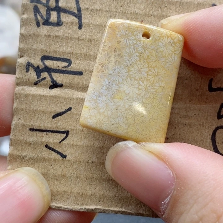 硅化珊瑚（珊瑚玉）颈饰未镶嵌牛***莎