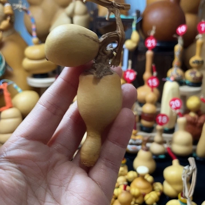 喝***e葫芦丝老师没哈士奇哈佛医学院