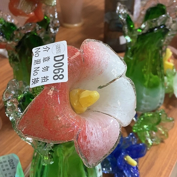 琉璃琉璃花高45口9