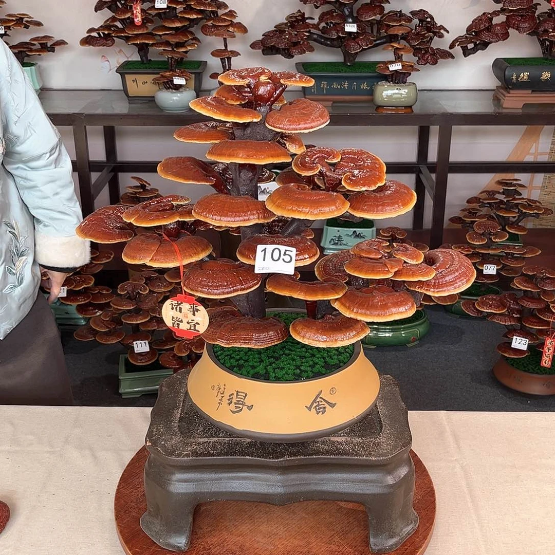 万事如意888888105