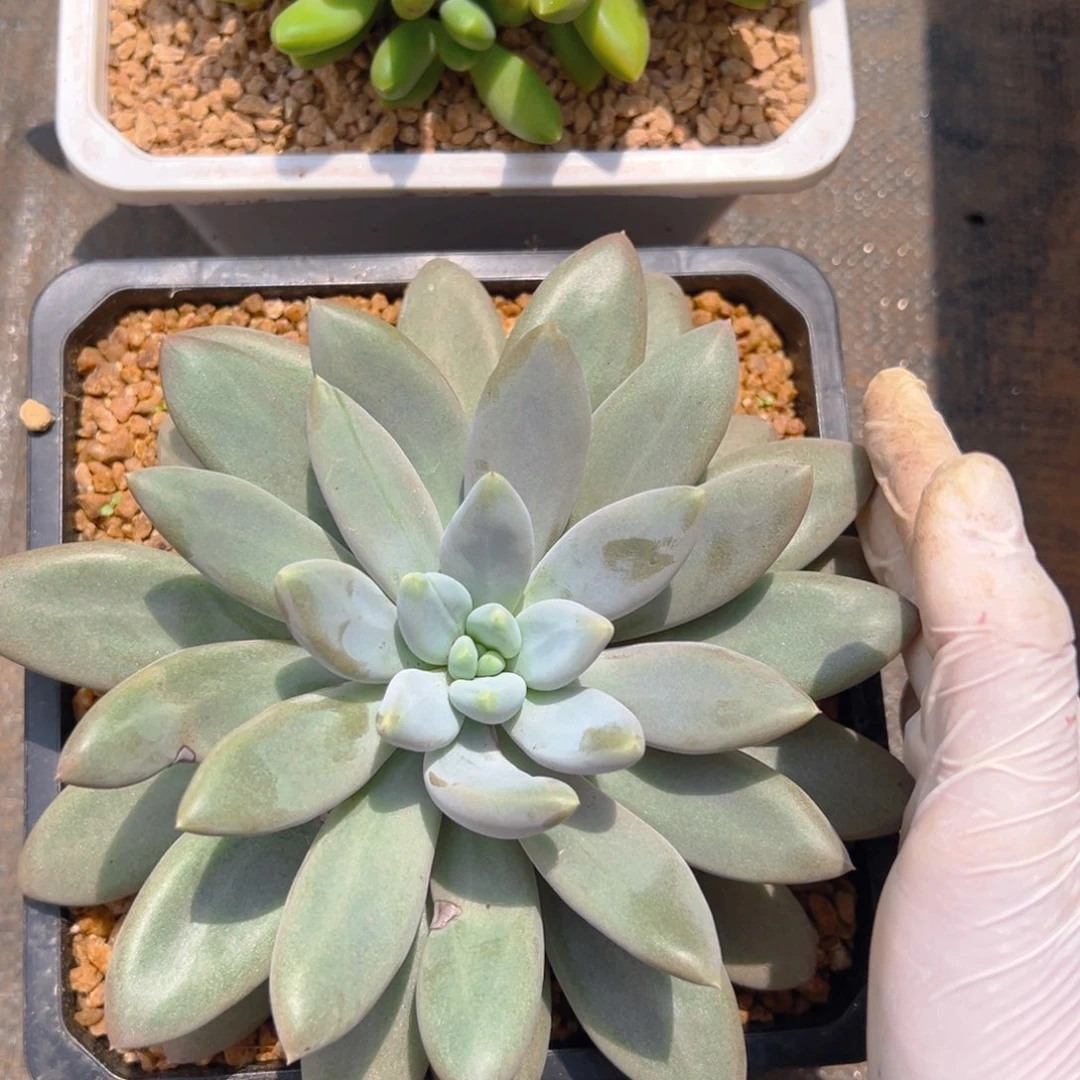 9211111111111111111111