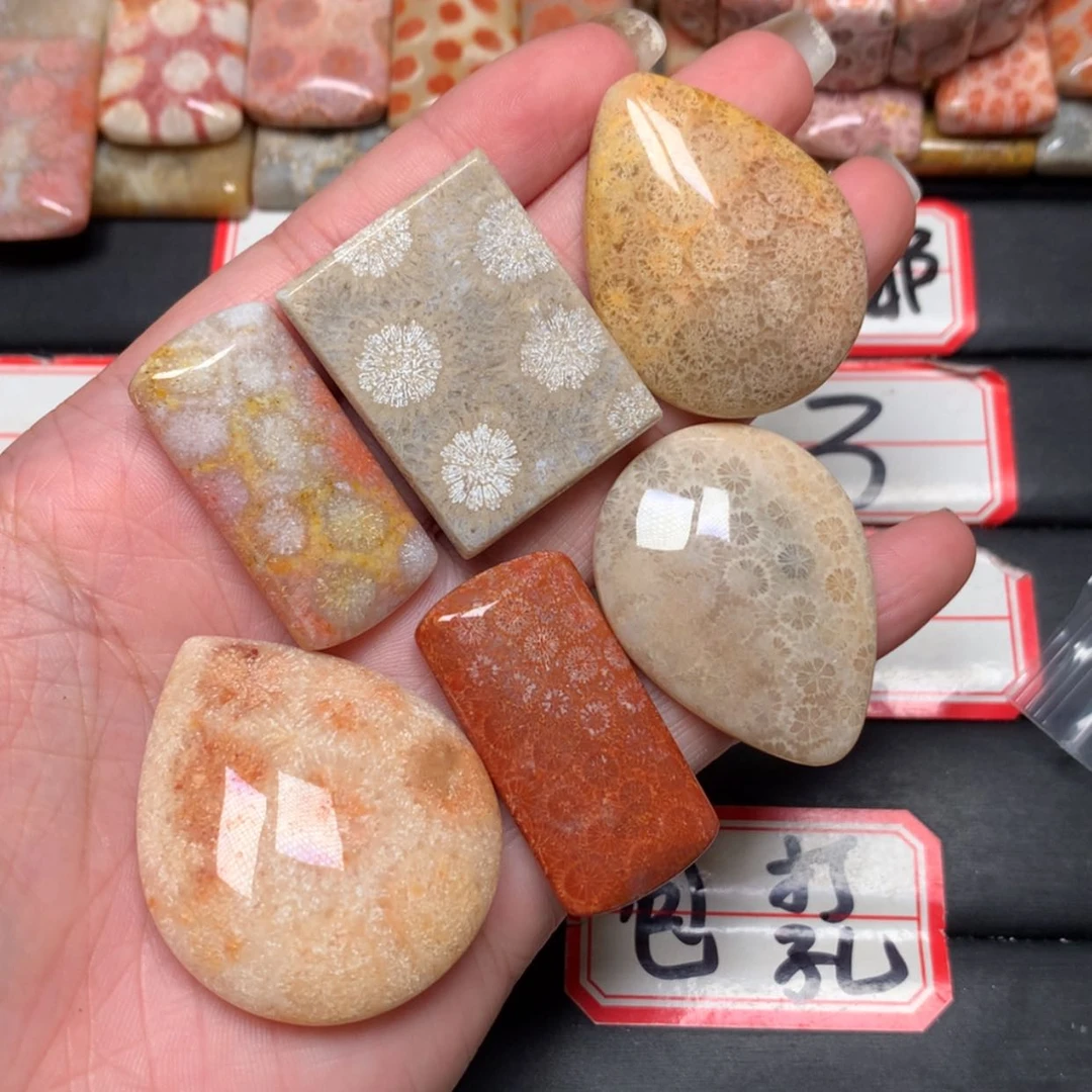 【闪购商品】未镶嵌颈饰硅化玉月**沉
