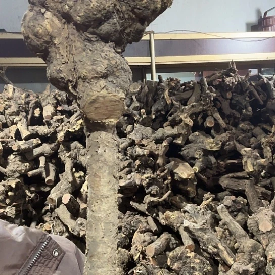 香榧木米*鼠火琉璃的故事毛料