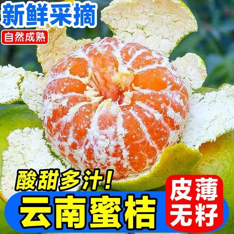云南青皮无籽蜜桔新鲜应季水果酸甜多汁适合孕妇