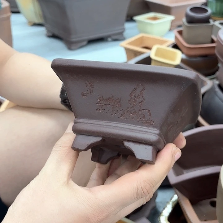 紫砂花盆紫砂的花也太