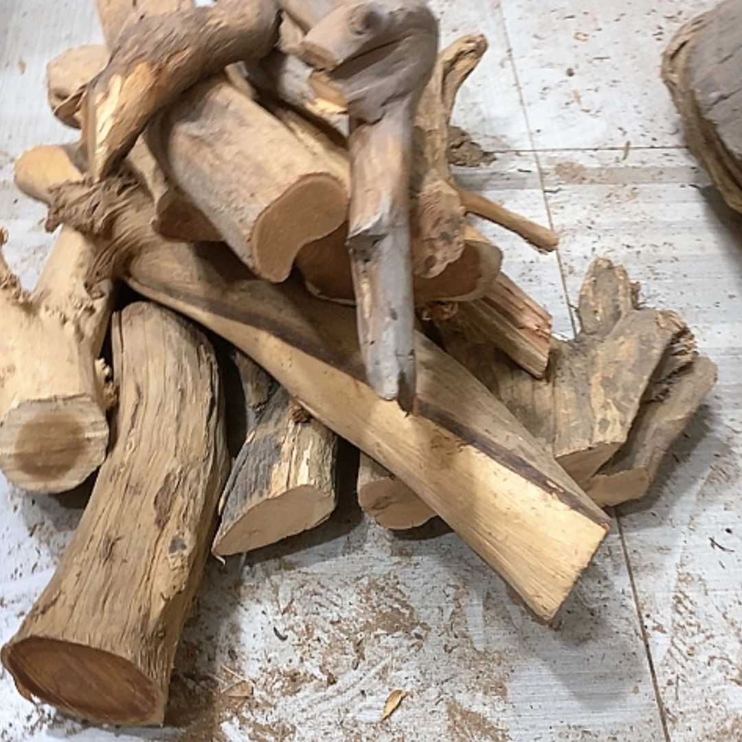 【闪购商品】柏木海**械我们都是好孩子